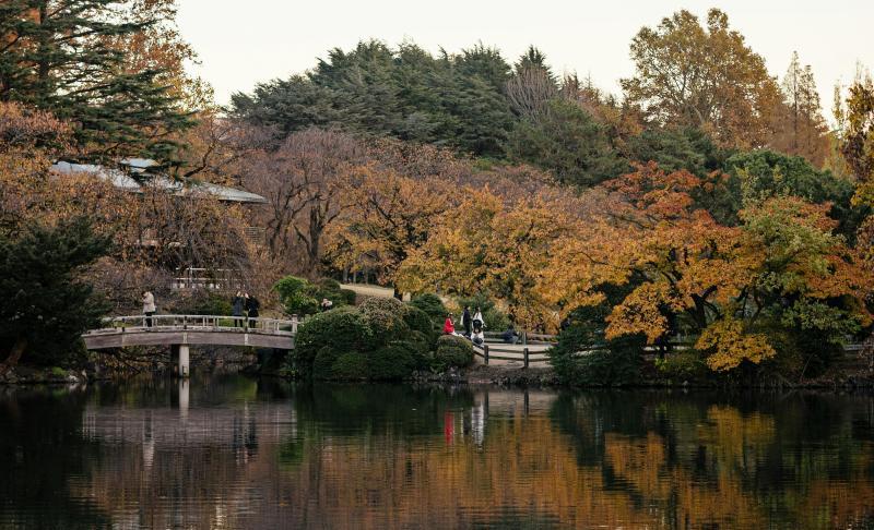 Shinjuku Gyoen Autumn