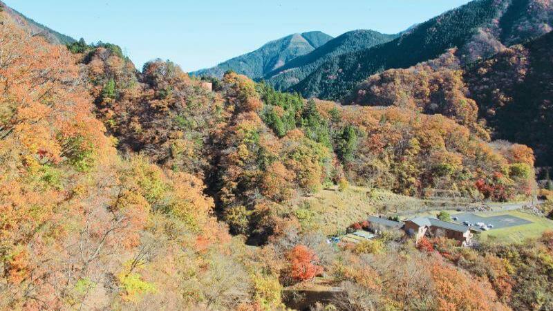 Okutama Fall Foliage