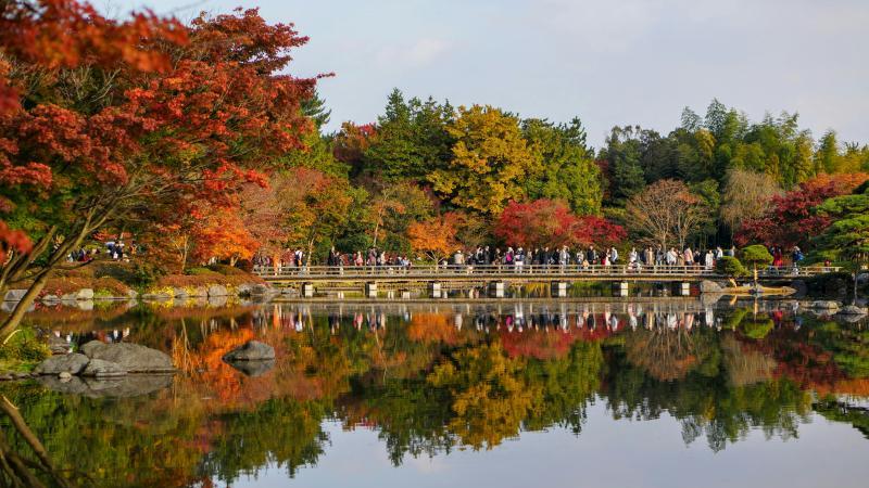 Fall Season in Tokyo