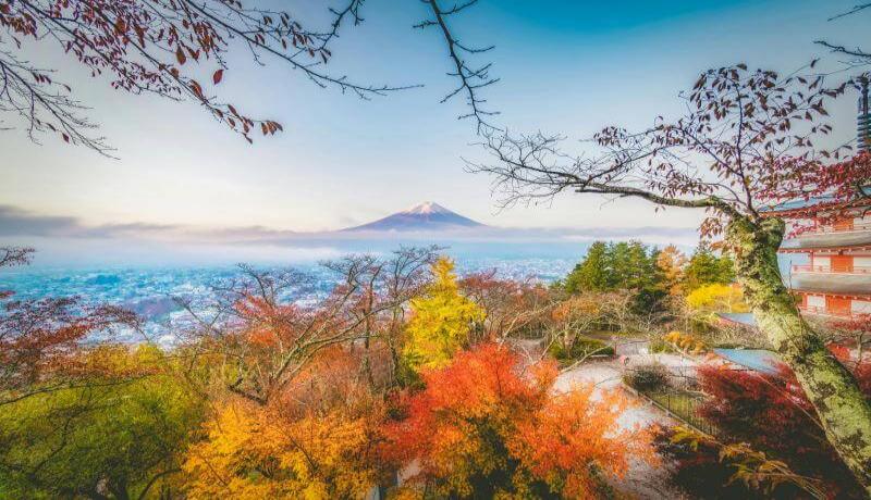 Autumn in Mt Fuji