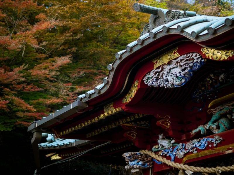 Takaosan Yakuōin Yukiji Temple in Autumn