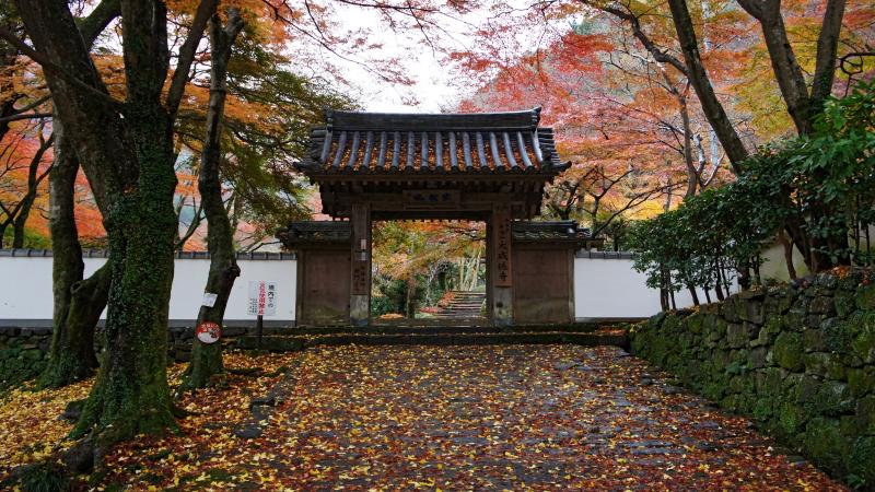 Stunning Kansai Fall Foliage at Ushitakisan Daiitoku-ji