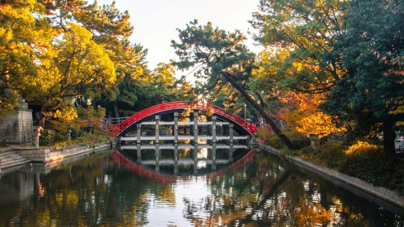 Autumn Leaves in Osaka