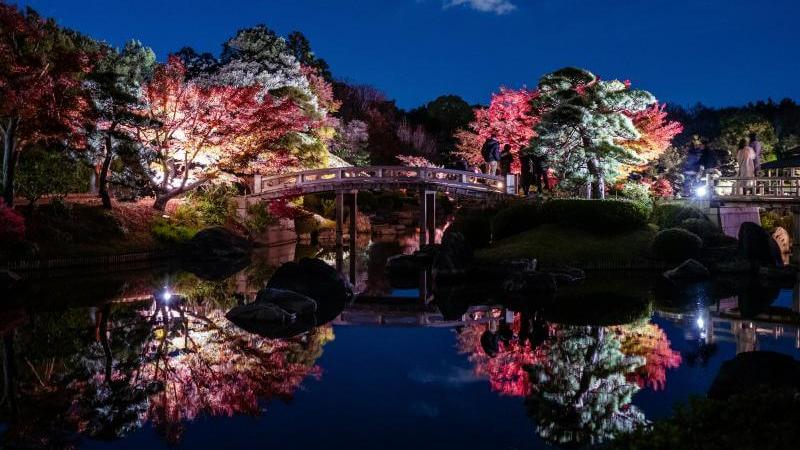 Osaka Autumn Illumination