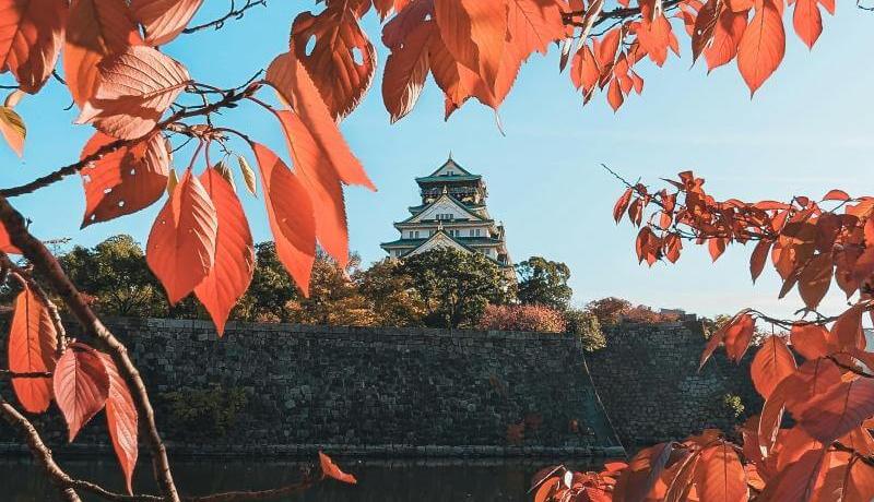 Osaka Castle Autumn Leaves