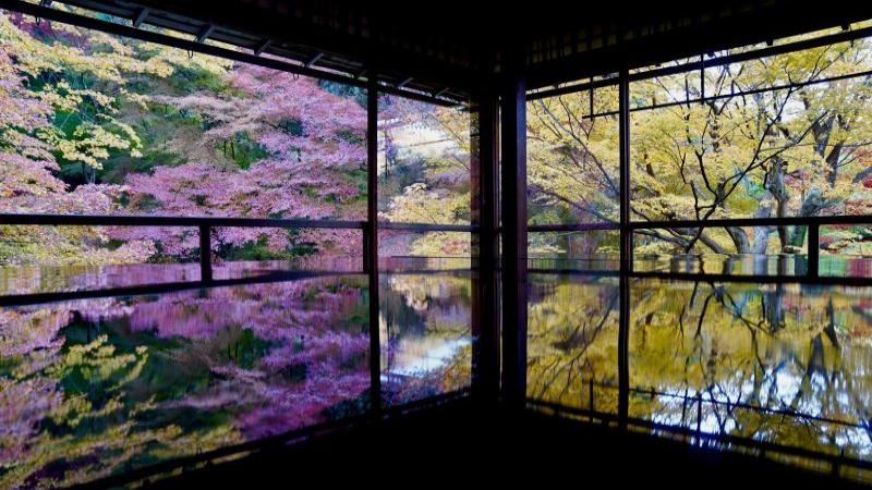 Kyoto Foliage in Rurikō-in Temple