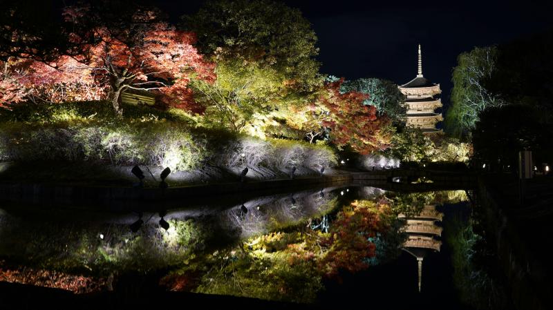Toji Temple Night Illumination