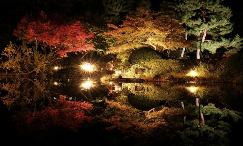 Best Autumn Illumination Kyoto