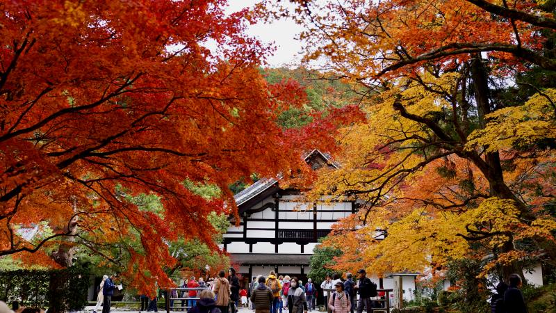Kyoto Fall Colors at Nanzenji Temple