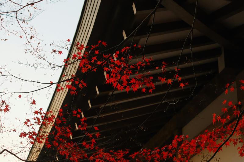 Kyoto Autumn Foliage in Sanzen in Temple