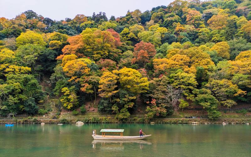 Arashiyama Fall Foliage