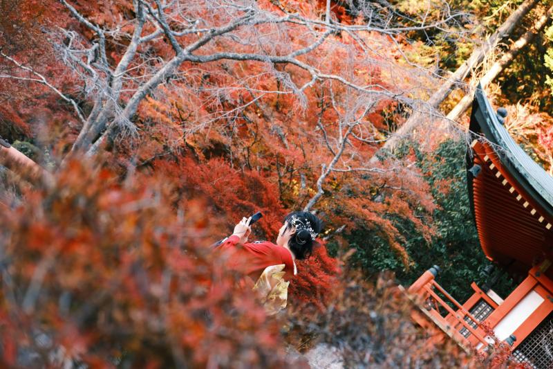Enjoy Kyoto Autumn While in Kimono