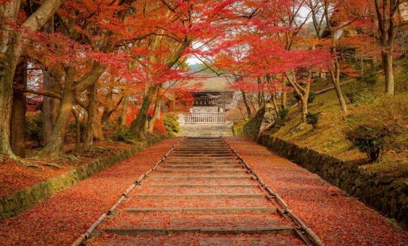 Autumn Colors Kyoto
