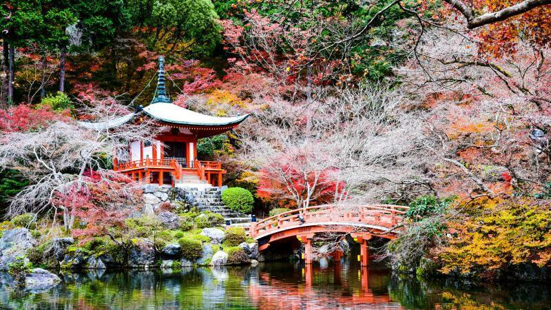 Daigo ji Temple Autumn during Daytime