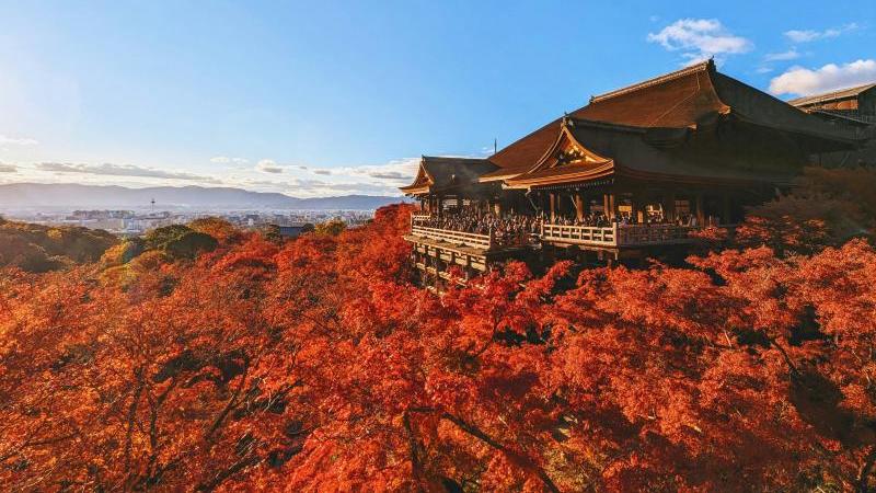Peak Fall Foliage Kyoto at Kiyomizu-Dera
