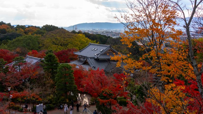 Kyoto Fall Foliage in Early December