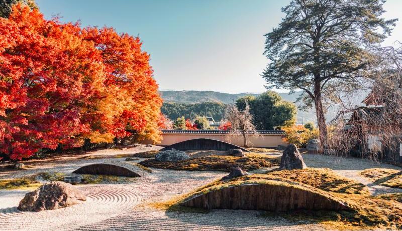 Fall in Kyoto