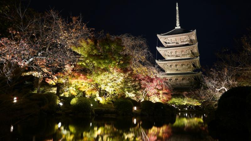Wonderful Kyoto Autumn Illumination at Toji Temple
