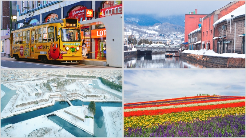 Visit to Hokkaido, Japan for the First Time 2025