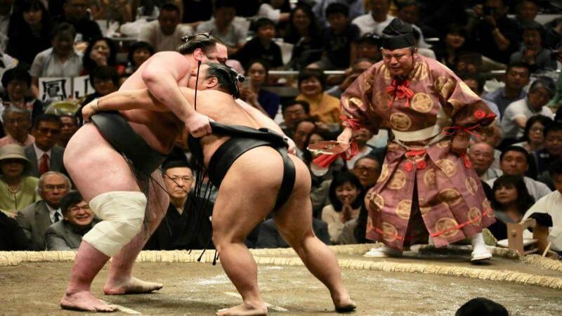 Watching a Sumo Match is One of the Best Things to Do in Tokyo for Elderly