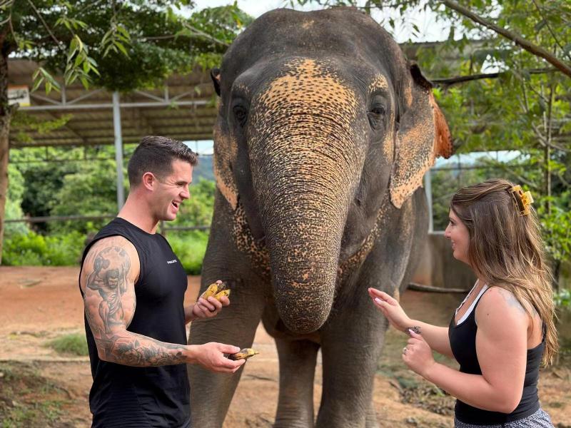 Feed Elephant in Bangkok Elephant Sanctuary