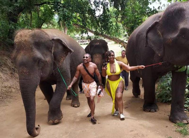 Bangkok Elephant Sanctuary Tour