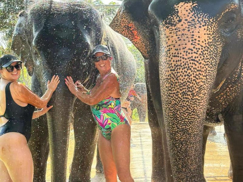 Elephant Sanctuary Bangkok Tour