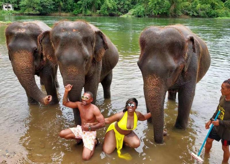 Elephant Tour Thailand