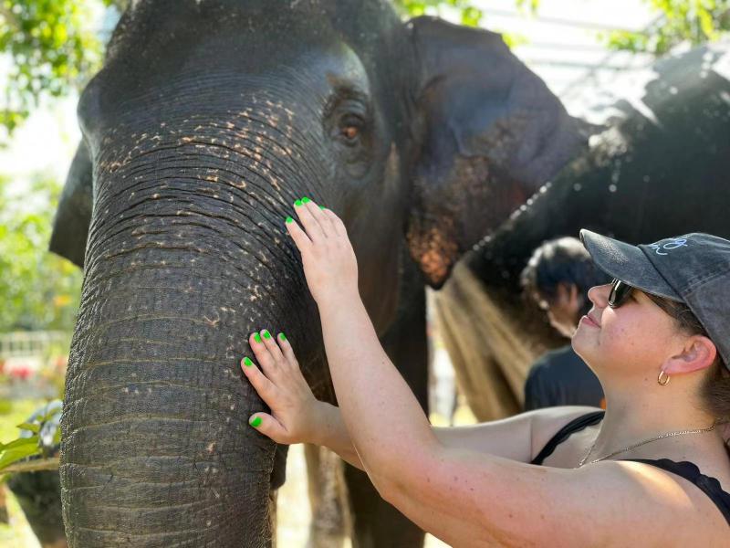 Best Elephant Experience in Thailand