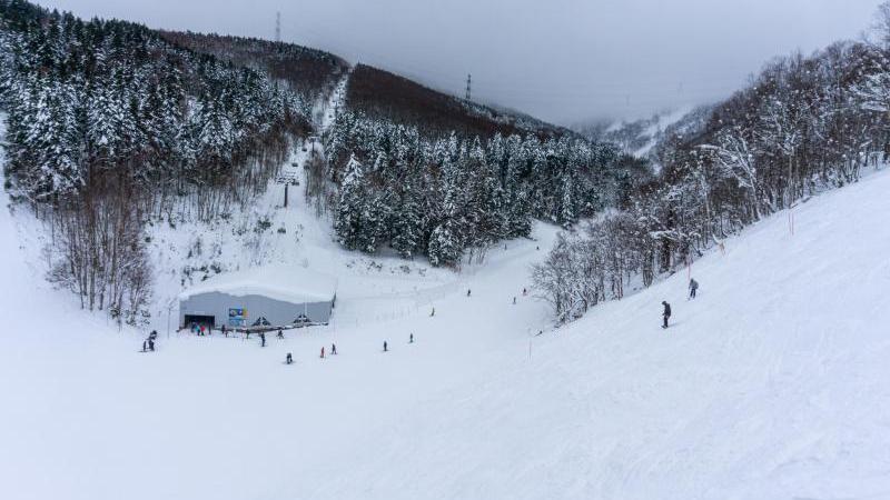 Enjoy the Fresh Powder in Hokkaido, Japan in Janaury