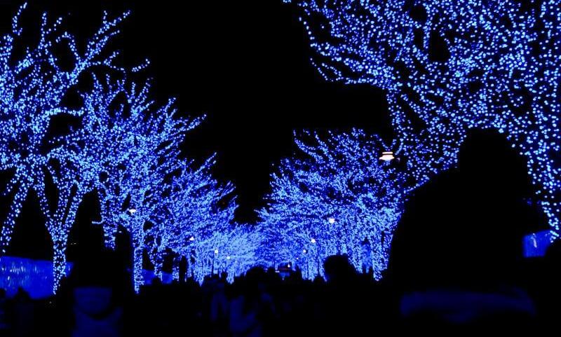 Illumination in Japan during January