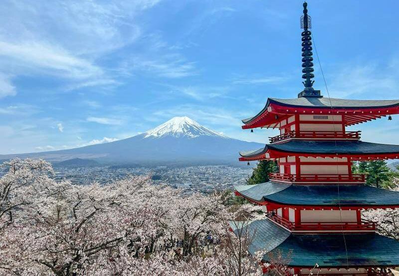 Fuji Sakura Is One of the Best Things to See in Japan in April