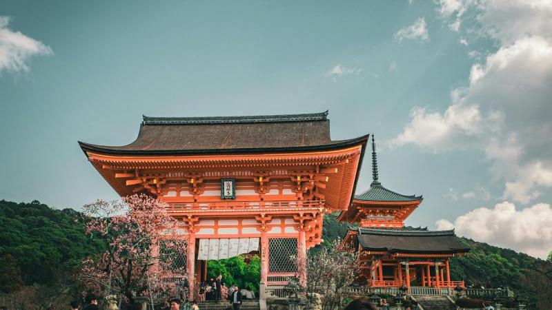 Don't Miss Kiyomizu-dera Sakura When Visiting Japan in April
