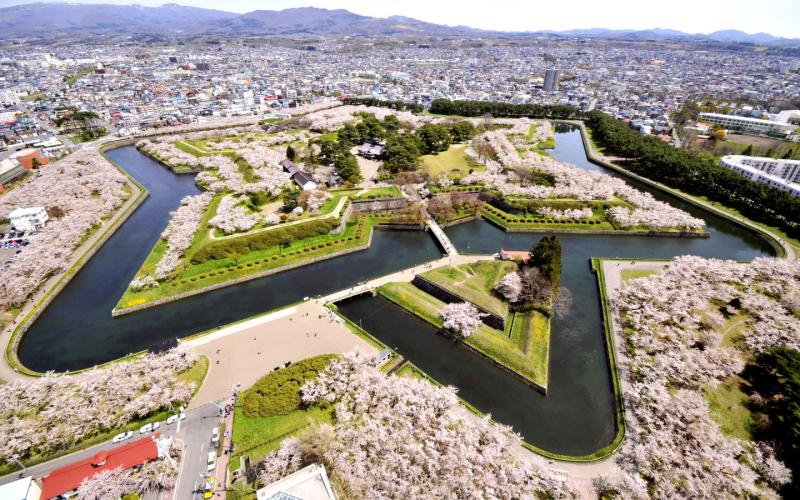 Visit Goryokaku Park during Hokkaido Sakura Season