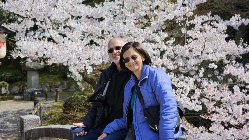 Travel Japan with Elderly to Admire the Stunning Hokkaido Cherry Blossoms