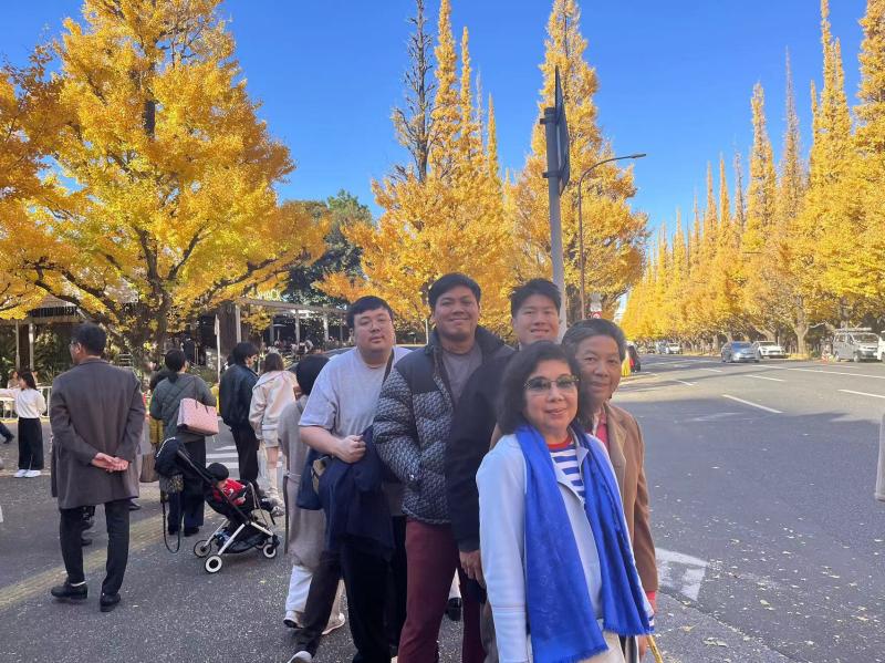 Incredible Scenes at Meiji Jingu Gaien Ginkgo Avenue