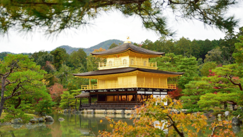 A Stunning Zen Temple Covered in Gold Leaf