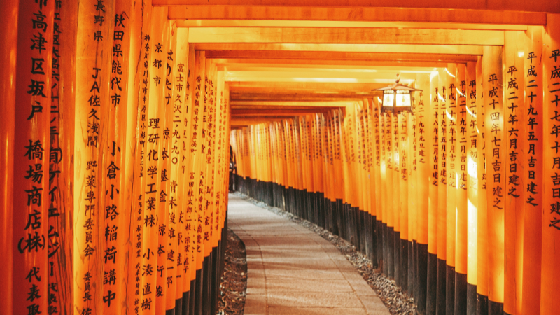 Offers Panoramic Views of Kyoto