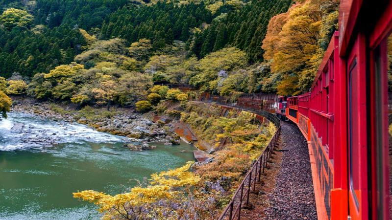 Take Sagano Romantic Train in Autumn