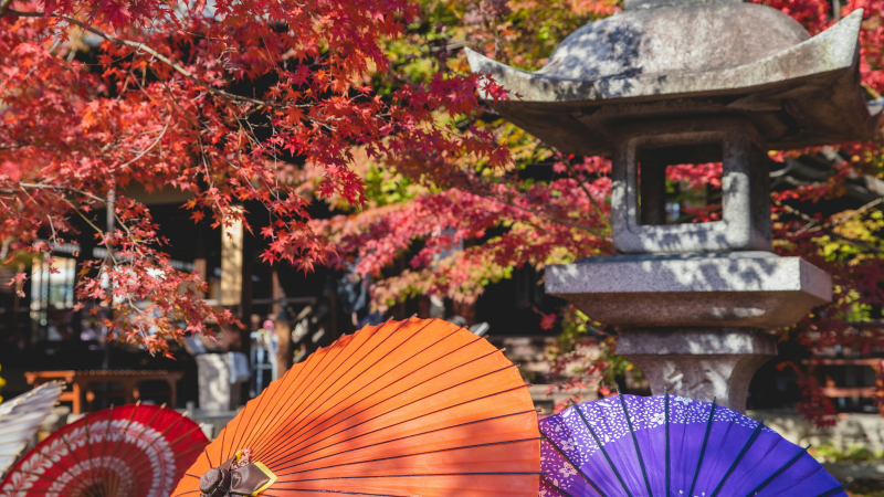 Arashiyama: Where History Meets Autumn’s Beauty