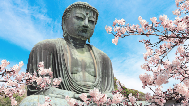 The Great Buddha in the Spring