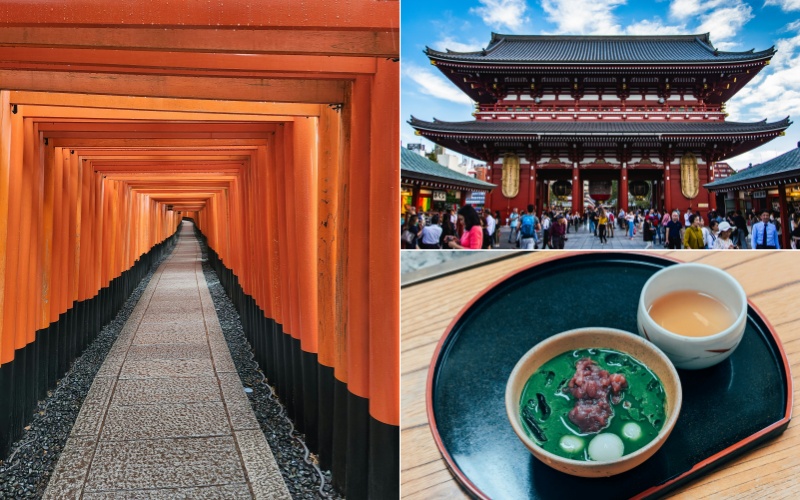 12 Days Japan Tour Itinerary