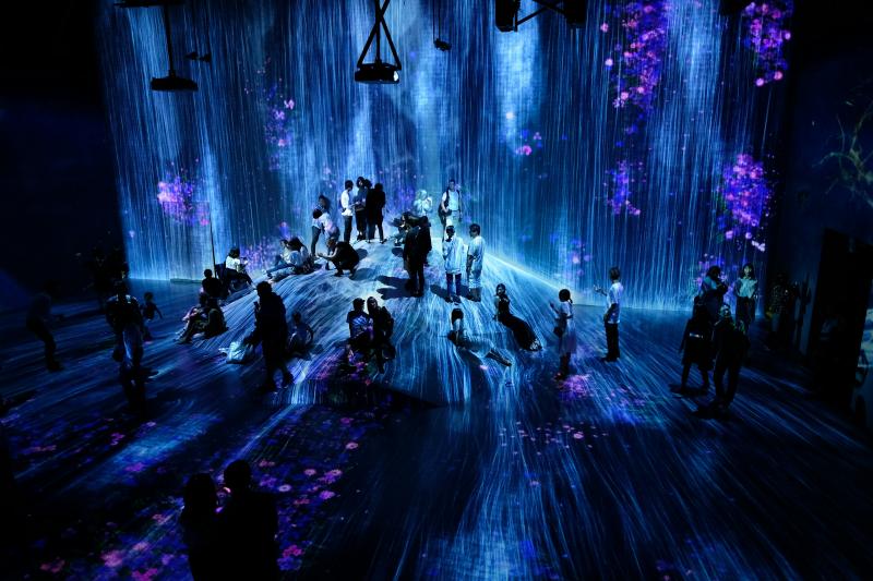 Teamlab Borderless Tokyo