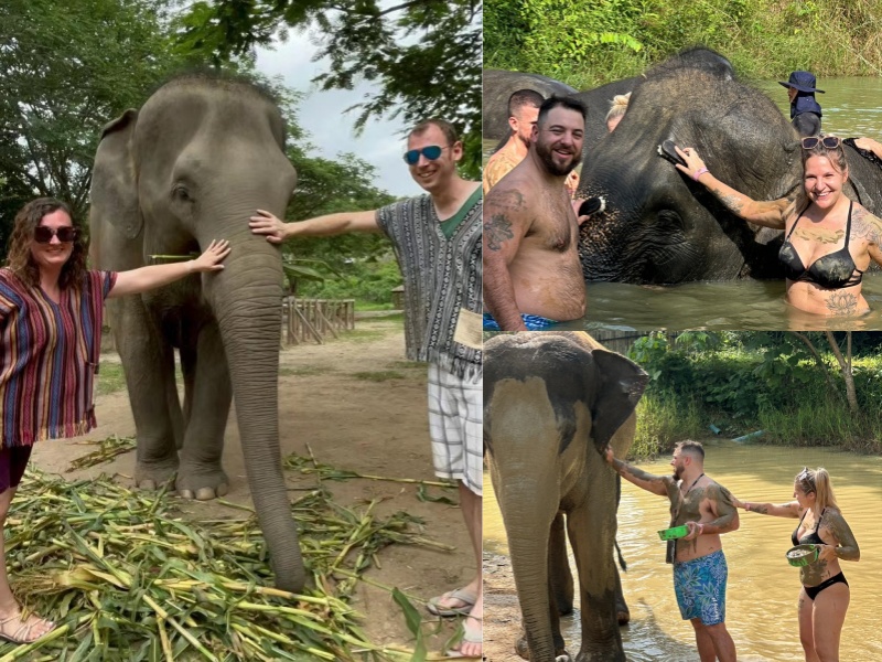 Encounter Elephants during 2 Week Thailand Honeymoon Tour