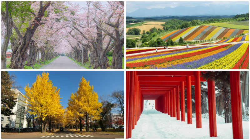 The colorful canvas of Hokkaido's four seasons