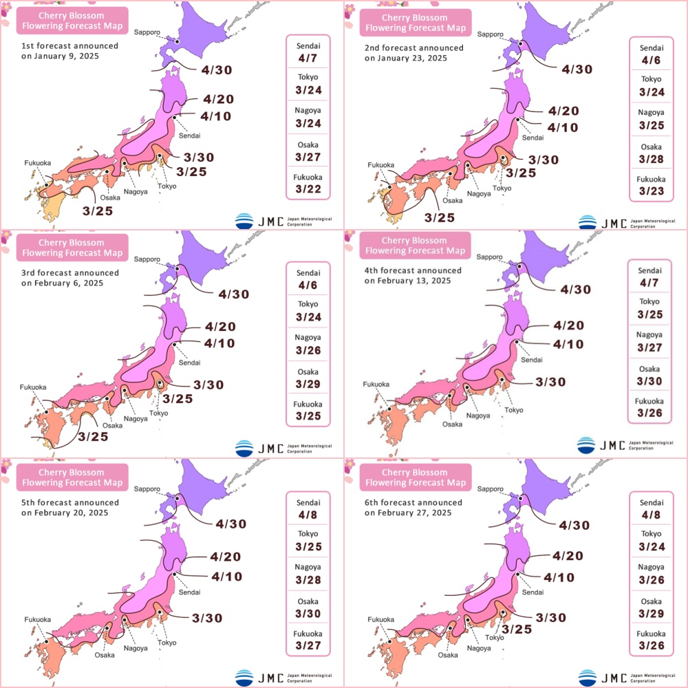 cherry blossom※プロフ確認 3/30 🌸 Tokyo Cherry Blossom Updates: Roppongi Hills [4K/HDR