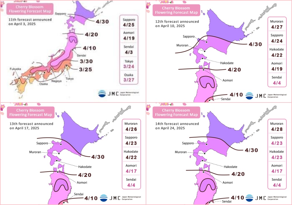 Cherry Blossom Season Japan 2025 Map Realeased by JMC