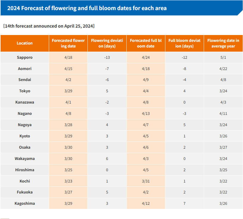 Japan Cherry Blossom Dates 2024