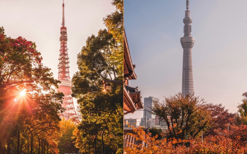 Tokyo During November in Japan