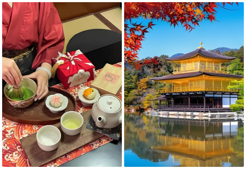 Japan’s calm rituals and gardens soothe seniors’ spirits.
